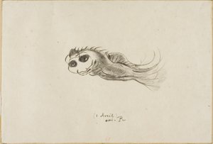 Fransız Litografçılar için Akşam Yemeği Menüsü, 1 Nisan 1887 by Odilon Redon