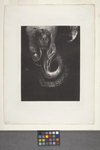Oannès: "Ben, Kaosun İlk Bilinci..." (çine aplikeli kağıt üzerine litografi) by Odilon Redon