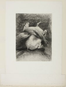 İktidarsız Kanat Hayvanı O Kara Boşluğa Kaldırmadı, "Les Origines"den 7/8 levha by Odilon Redon
