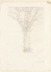 Ağaç by Odilon Redon