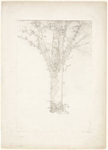 Ağaç by Odilon Redon