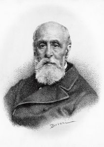 İtalyan şair ve vatansever Giovanni Ruffini'nin (1807-1881) portresi, Odoardo Borrani'nin (1833-1905) çiziminden sonra litografi