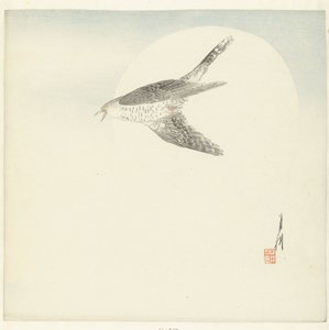 Dolunayda uçan guguk kuşu by Ogata Gekko
