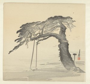 Eski çam ağacı by Ogata Gekko