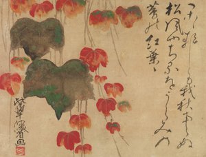 Sonbahar Ivy, 1732