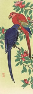 Japon sanatçı Ohara Koson tarafından Kırmızı ve Mavi Papağan by Ohara Koson