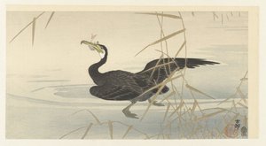 balıklı karabatak by Ohara Koson