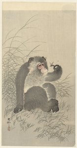 böcekle tanıştın by Ohara Koson