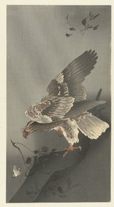 Av için gizlenen kartal by Ohara Koson