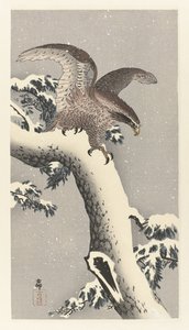 Karlı çam ağacı üzerinde kartal by Ohara Koson