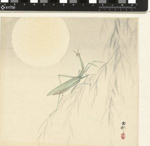 Peygamber Devesi by Ohara Koson