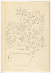 Tencerede çiçek açan açelya by Ohara Koson