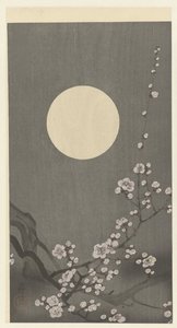 Dolunayda çiçek açan erik çiçeği by Ohara Koson