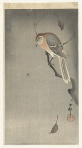 Bufalo Kafalı Örümcek ve Örümcek by Ohara Koson