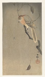 Bufalo Kafalı Örümcek ve Örümcek by Ohara Koson