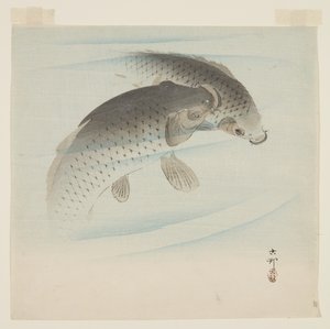 Sazan (Koi) (renkli tahta baskı) by Ohara Koson