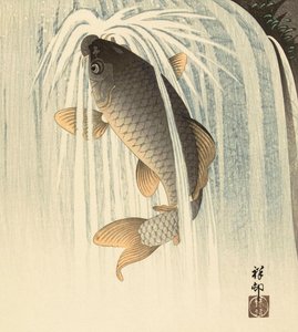 Şelalenin Altında Sazan, Japon sanatçı Ohara Koson tarafından by Ohara Koson