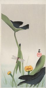 Yusufçuk ve Lotus (renkli tahta baskı) by Ohara Koson