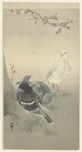 Üç evcil güvercin by Ohara Koson