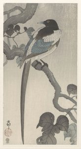 Ağaç dalı üzerinde dış by Ohara Koson