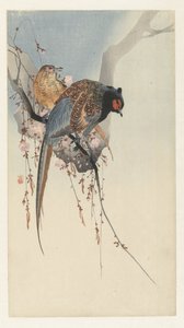 Sülün çifti ve erik çiçeği by Ohara Koson