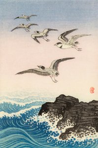 Denizde Bir Kayanın Üzerinde Beş Martı, 20. yüzyıl (Japon baskısı) by Ohara Koson