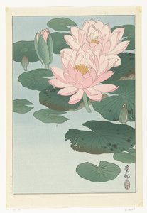 Çiçekli Nilüfer by Ohara Koson