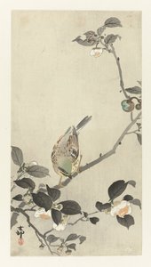 Çiçek dalı üzerinde kiraz kuşu by Ohara Koson