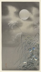 Dolunayda çimenler ve çiçekler by Ohara Koson