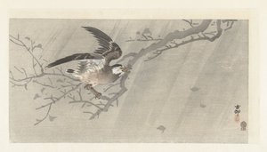 Fırtınada gri sığırcık by Ohara Koson