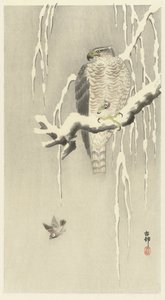 Esir ot serçesi olan şahin. by Ohara Koson