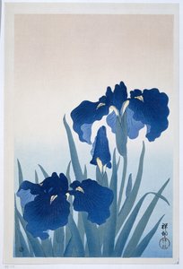 süsen by Ohara Koson