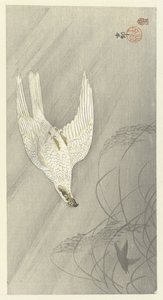 av şahin by Ohara Koson