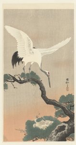 Çam ağacının dalında Japon vinç by Ohara Koson