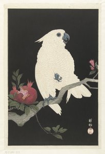 Kakadu ve nar by Ohara Koson