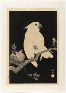 Narlı Kakadu by Ohara Koson