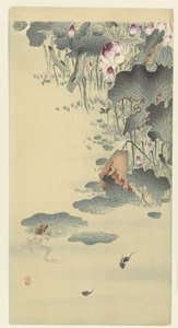 Kurbağa ve iribaşlar by Ohara Koson