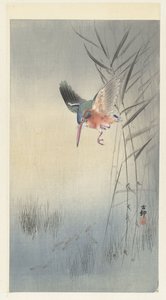 Balık avlayan yalıçapkını (renkli gravür) by Ohara Koson