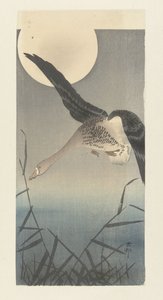 Dolunayda beyaz önlü kaz by Ohara Koson