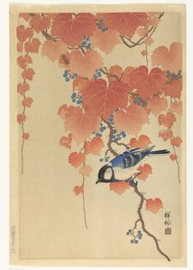 Paulownia dalında büyük baştankara by Ohara Koson