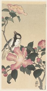 Pembe çiçekli dalda büyük baştankara by Ohara Koson