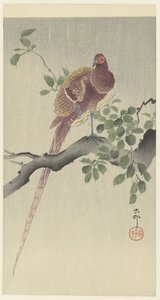 koperfazan by Ohara Koson