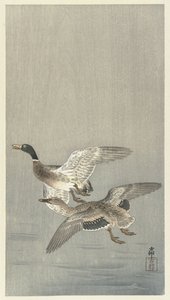 Çift ördek by Ohara Koson