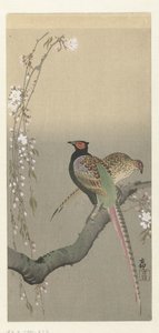 Sülün ve kiraz çiçeği çifti by Ohara Koson