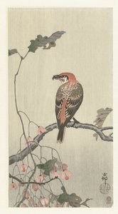 Ağaç dalı üzerinde çapraz fatura by Ohara Koson