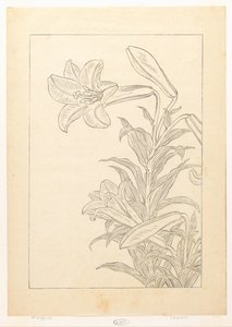Lelies by Ohara Koson