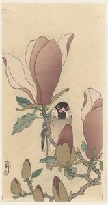 Çiçek açan manolya dalında serçe by Ohara Koson