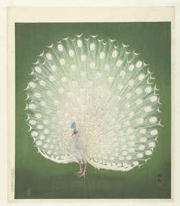 tavuskuşu by Ohara Koson