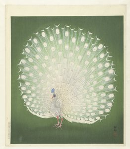 tavuskuşu by Ohara Koson
