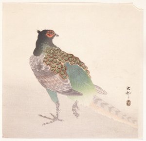 Sülün (renkli tahta baskı) by Ohara Koson